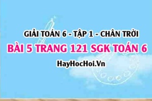 Giải bài 5 trang 121 Toán 6 Tập 1 SGK Chân trời sáng tạo